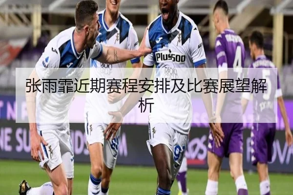 张雨霏近期赛程安排及比赛展望解析